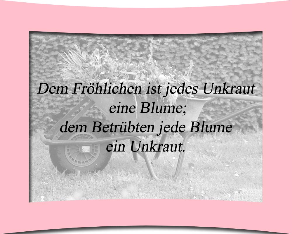 zukunft 07
